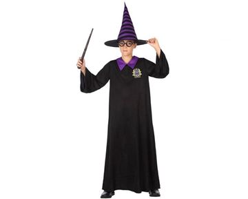 Fato Mago Harry