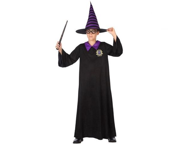 Fato Mago Harry