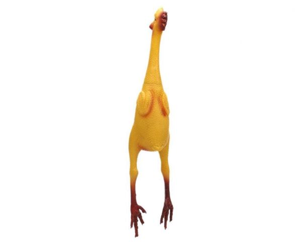 Galinha Látex