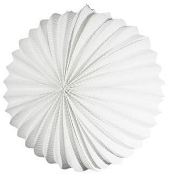 Balão De Papel Branco 25cm