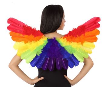 Asas Rainbow