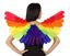 Asas Rainbow