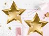 6 Pratos Estrelas Dourados