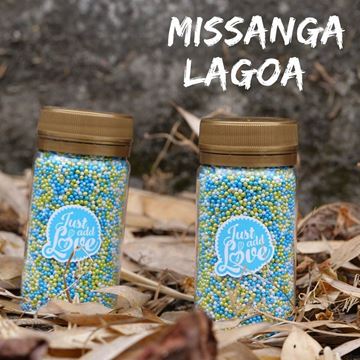 Missanga Lagoa 75gr