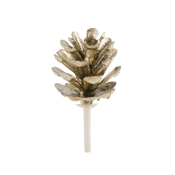 Pinha Dourada