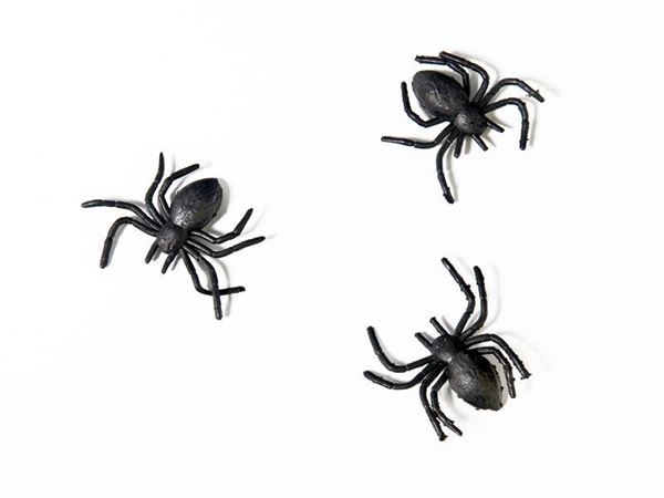 Aranhas Plástico 10un
