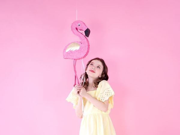 Pinhata Flamingo