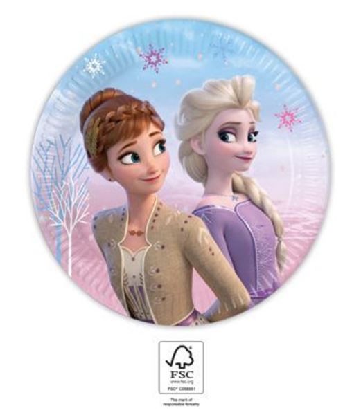 8 Pratos 23cm Frozen Wind Spirit