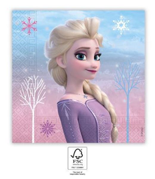 20 Guardanapos Frozen Wind Spirit