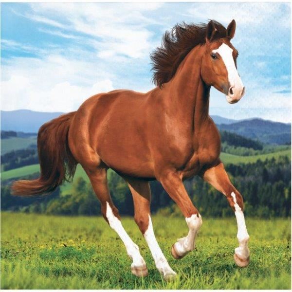Guardanapos Pequenos Cavalo
