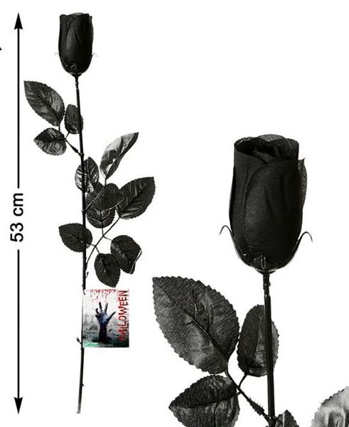Rosa 53cm Preto