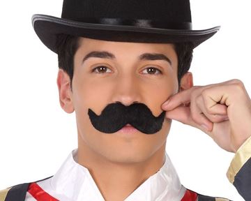 Bigode Clássico