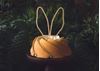 Topper Madeira Orelhas De Coelho 20cm