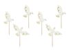 6 Cupcake Toppers Pomba