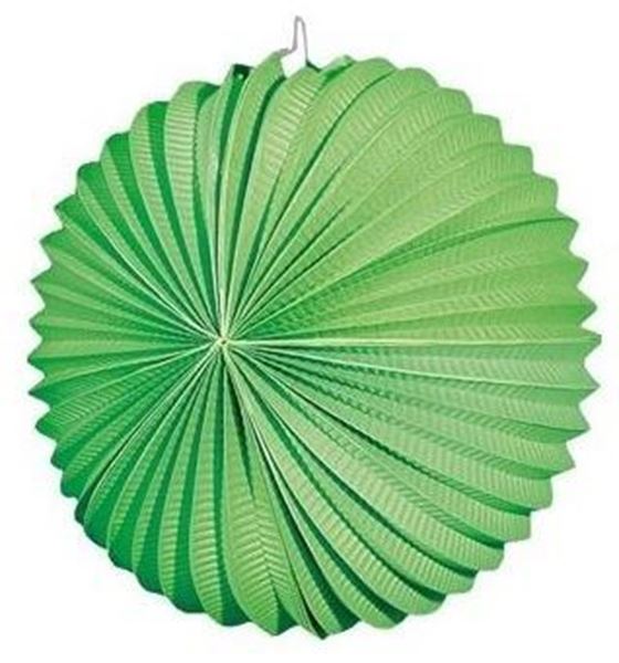 Balão Papel Verde 25cm