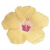 16 Guardanapos Flor Hawaian Tiki Tropics