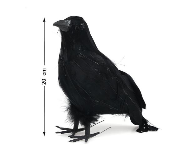 Pássaro Preto 20cm