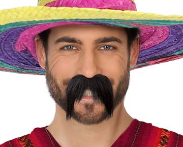 Bigode Preto Mexicano