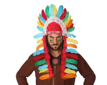 Plumas Índio Coloridas