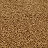 Missanga Ouro Velho 75gr