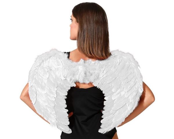 Asas Anjo Branco 60x45cm