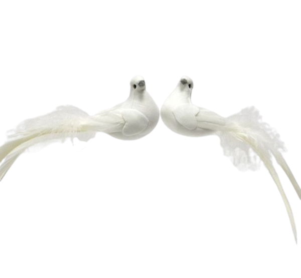 Pomba 13cm