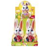 Coelhinho Com Ovos De Chocolate 60gr